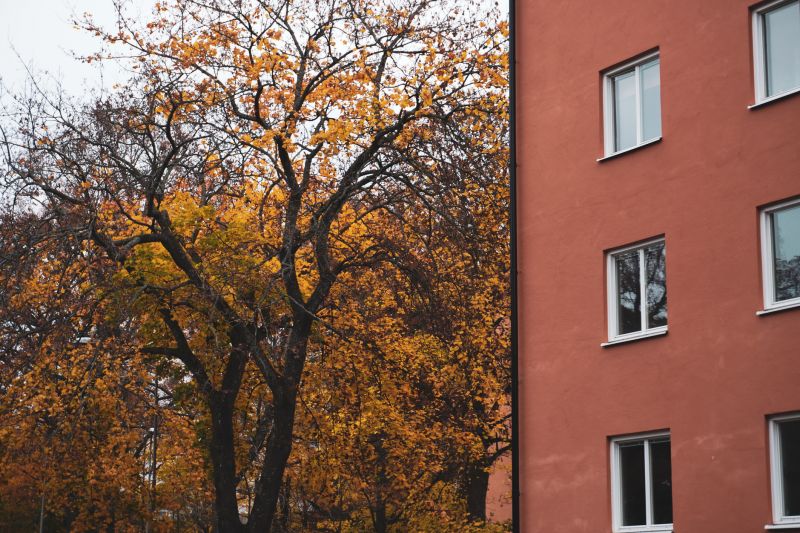 Apartment Complex Leaf Removal