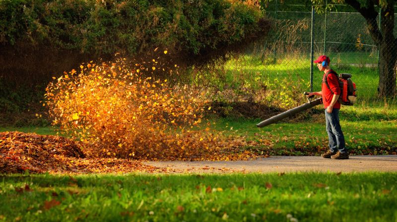Commercial Leaf Blowing
