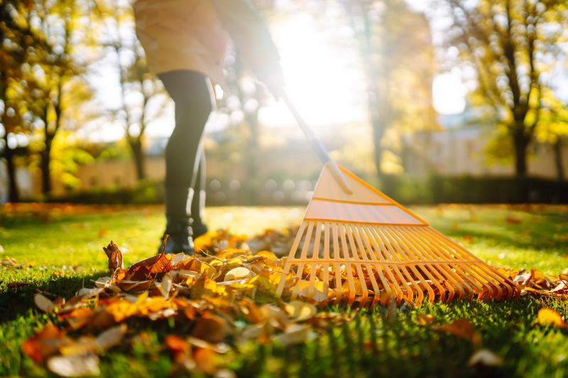 Condominium Leaf Removal