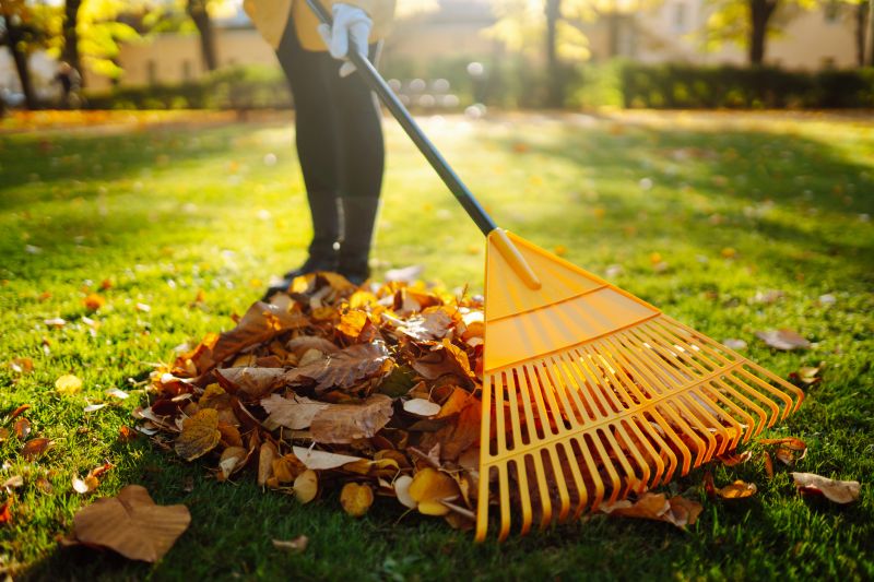Golf Course Leaf Removal