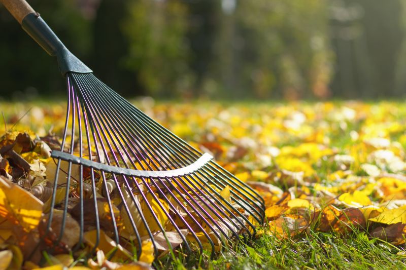 Hospital Leaf Removal