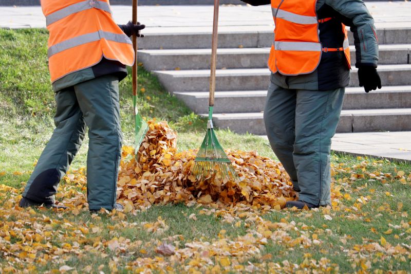 Office Building Leaf Removal