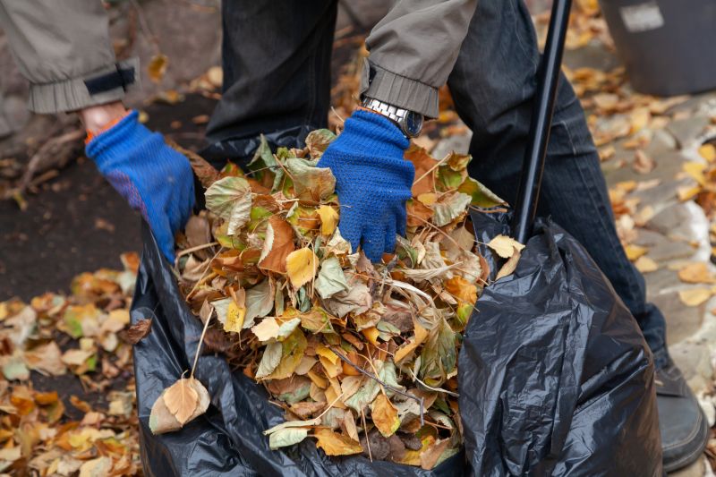 Restaurant Leaf Removal