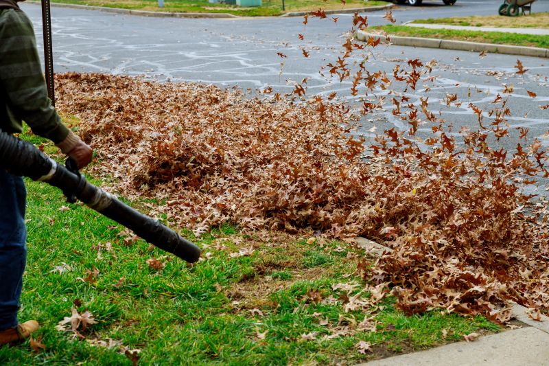 Retail Store Leaf Removal
