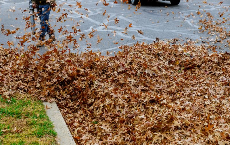 Shopping Center Leaf Removal