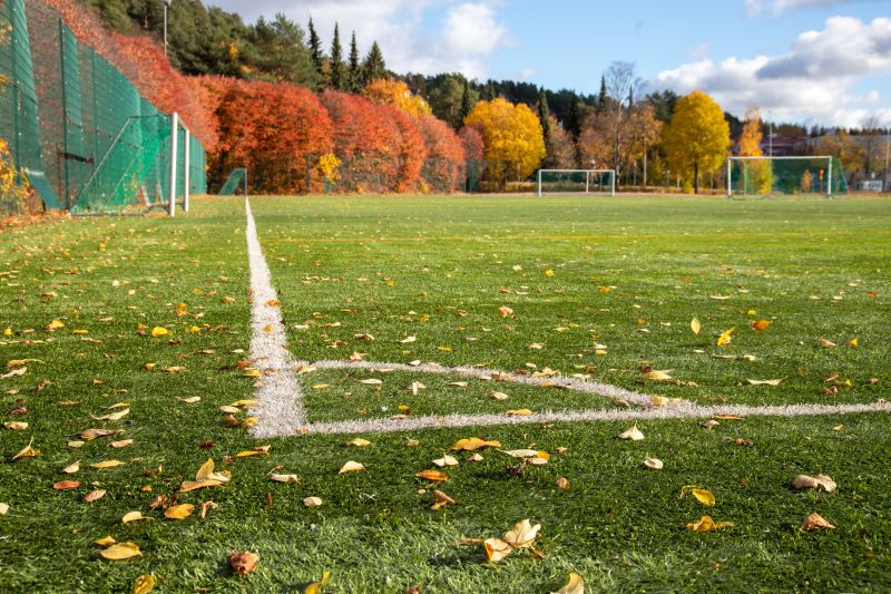 Sports Field Leaf Removal