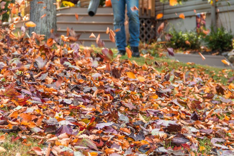 Autumn Leaf Removal in Honolulu, HI
