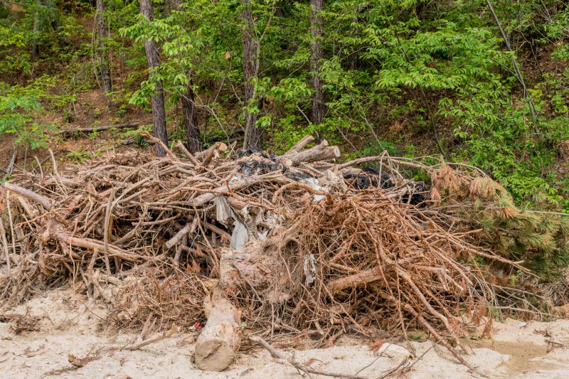 Brush Cleanup Service in Honolulu, HI