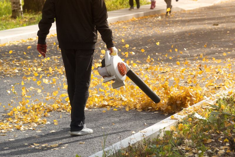 Commercial Leaf Removal Cost — Cost of commercial leaf removal