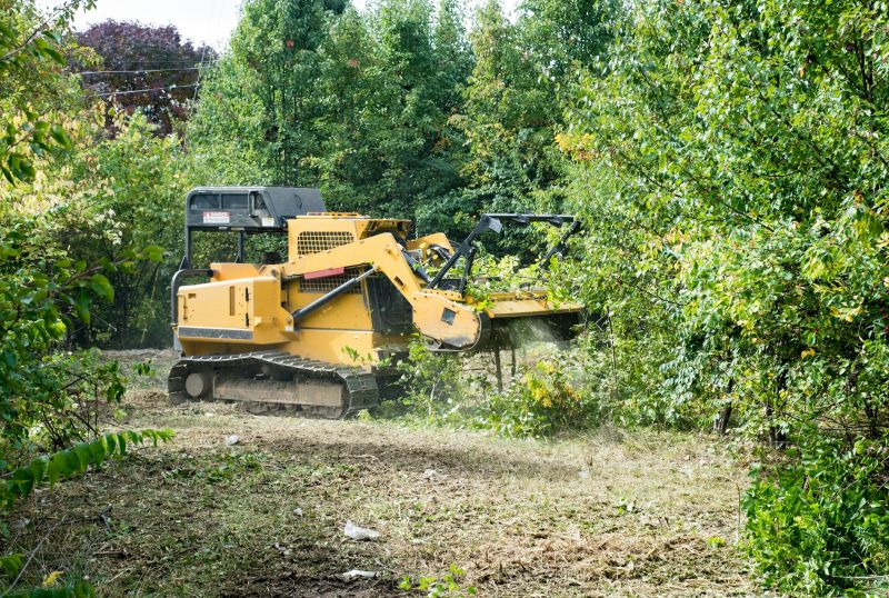 Commercial Leaf Removal Cost — Cost of commercial leaf removal