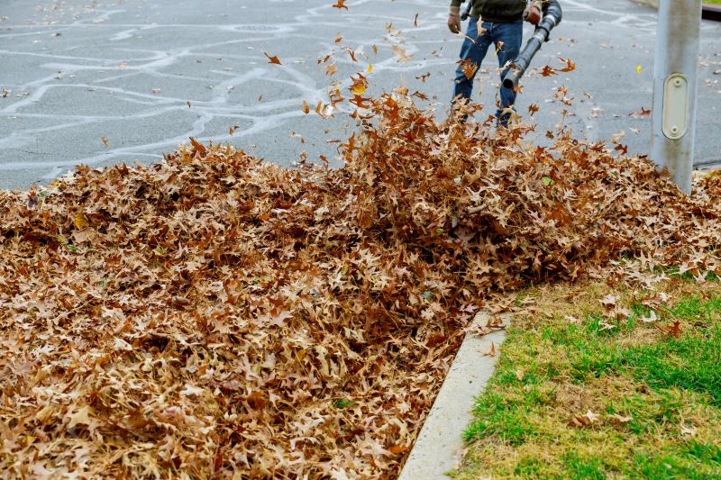 Commercial Leaf Removal Cost — Cost of commercial leaf removal