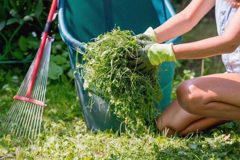 Fall Lawn Cleanup Service in Ventura County, CA