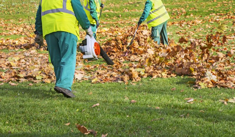 Fall Lawn Cleanup Service in Ventura County, CA