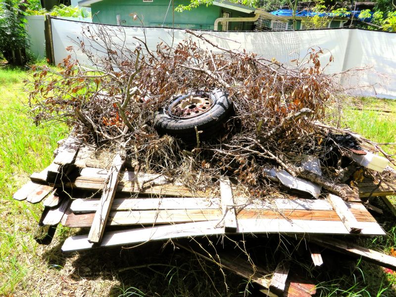 Lawn Debris Cleanup in Ventura County, CA