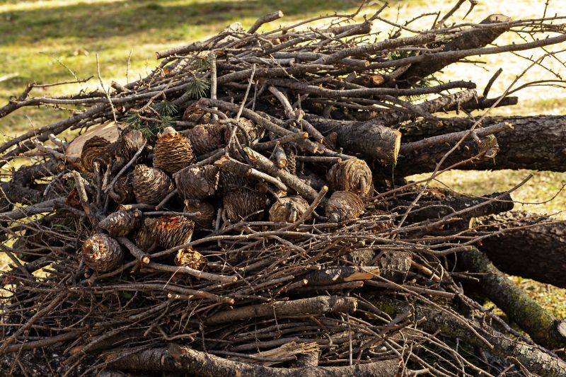 Wood Pile Removal in Ventura County, CA