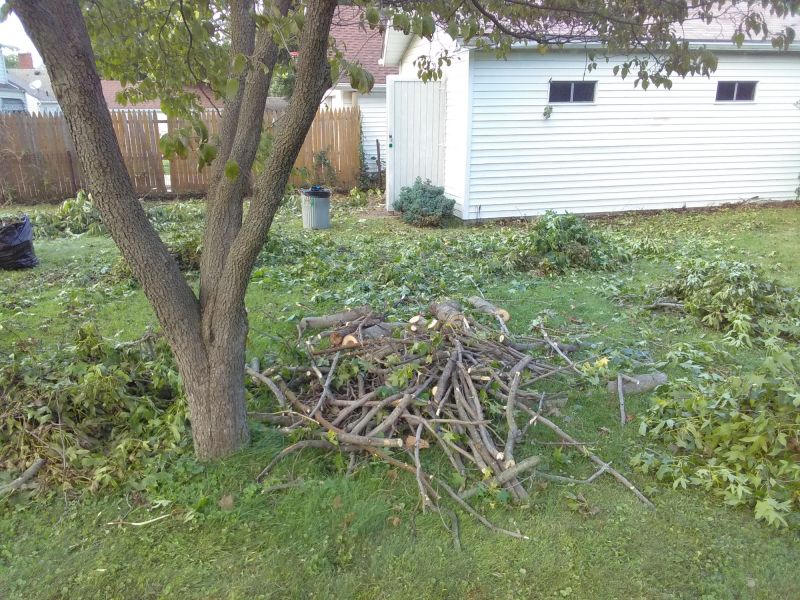 Yard Cleanup Service in Ventura County, CA