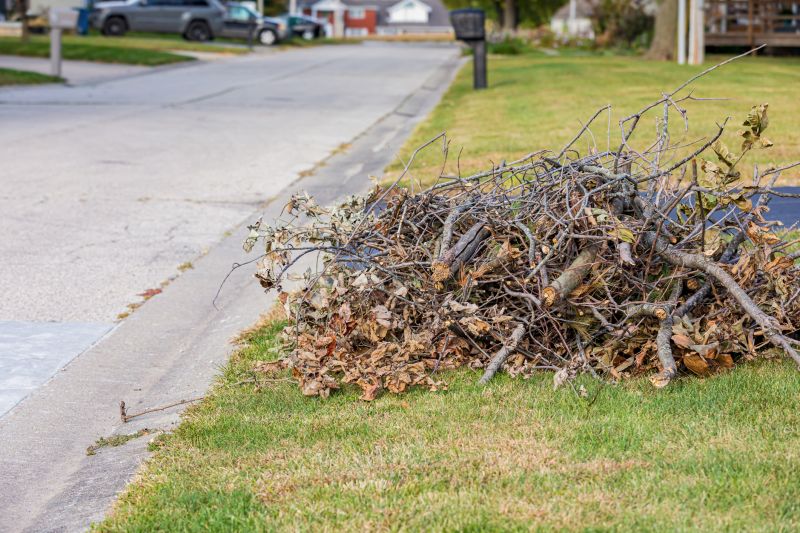 Tree Limb Cleanup in Ventura County, CA